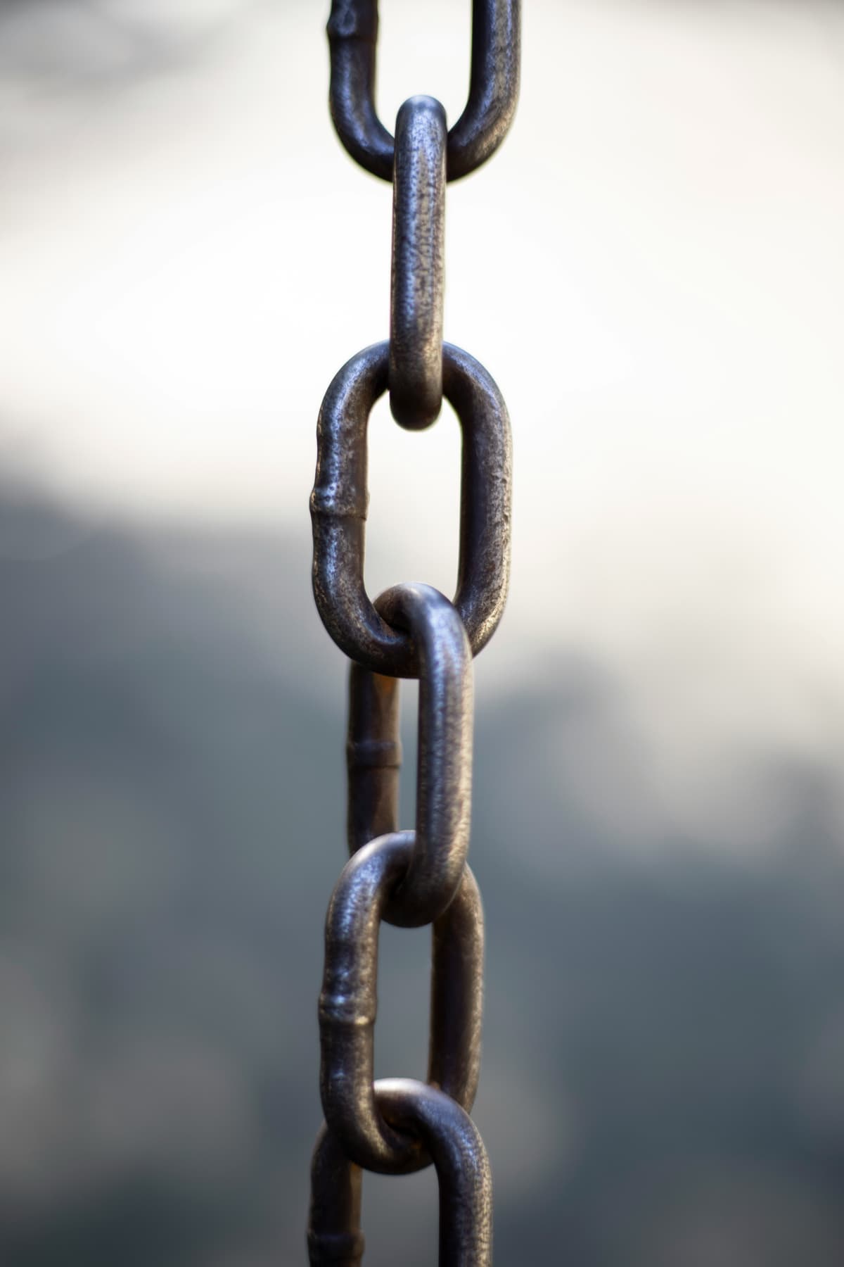 Link vs useRouter in Next.js